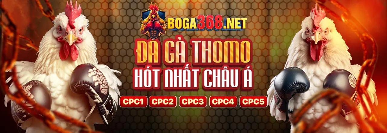 Chương trình giới thiệu bạn bè Hipclub App